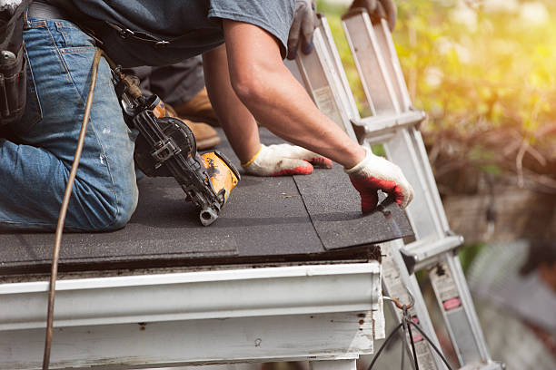Best Roof Gutter Cleaning  in Orida Ridge, FL
